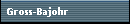 Gross-Bajohr