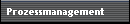 Prozessmanagement